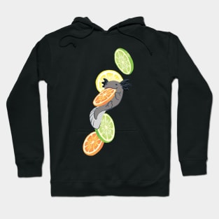 Snaxy Citrus Hoodie